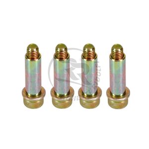 Brake Retaining Bolt Kit X 4 (No Springs)